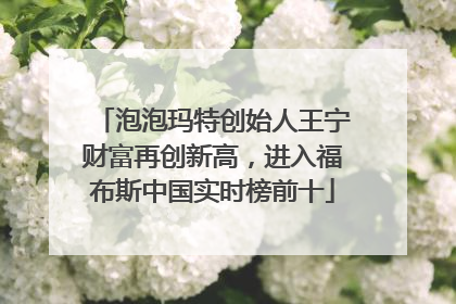 泡泡玛特创始人王宁财富再创新高，进入福布斯中国实时榜前十