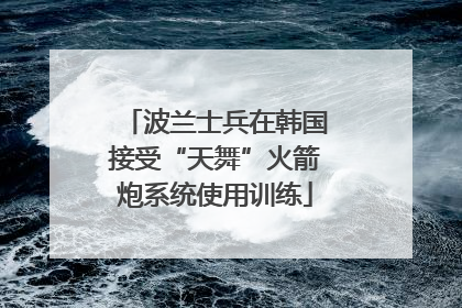波兰士兵在韩国接受“天舞”火箭炮系统使用训练
