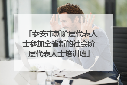 泰安市新阶层代表人士参加全省新的社会阶层代表人士培训班
