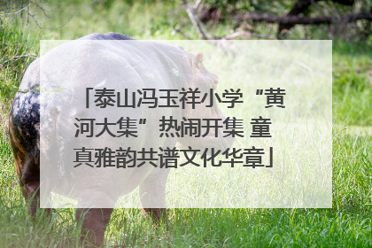 泰山冯玉祥小学“黄河大集”热闹开集 童真雅韵共谱文化华章