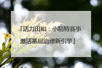 活力田和：小精特赛事激活基层治理新引擎