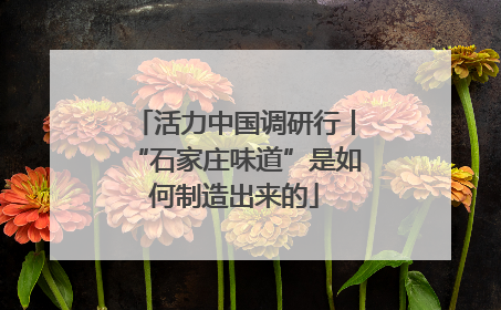 活力中国调研行丨“石家庄味道”是如何制造出来的