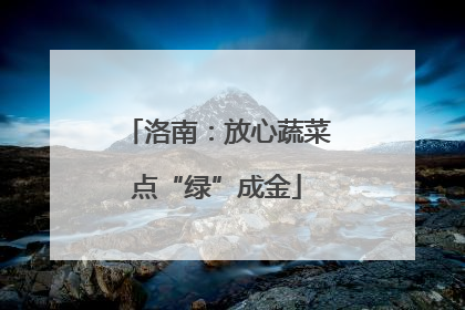洛南：放心蔬菜点“绿”成金