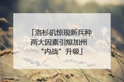 洛杉矶惊现新兵种 两大因素引爆加州“内战”升级
