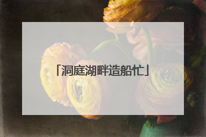 洞庭湖畔造船忙