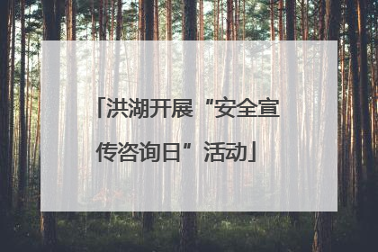 洪湖开展“安全宣传咨询日”活动