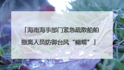 海南海事部门紧急疏散船舶撤离人员防御台风“蝴蝶”
