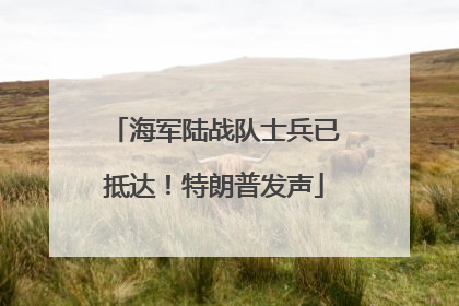 海军陆战队士兵已抵达！特朗普发声