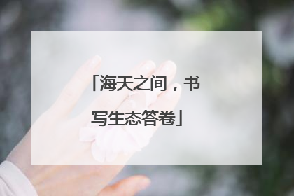 海天之间，书写生态答卷