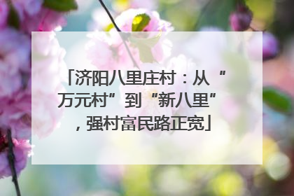 济阳八里庄村：从“万元村”到“新八里”，强村富民路正宽