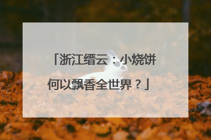 浙江缙云：小烧饼何以飘香全世界？