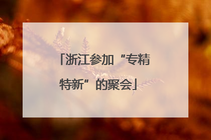 浙江参加“专精特新”的聚会