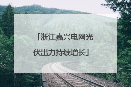 浙江嘉兴电网光伏出力持续增长