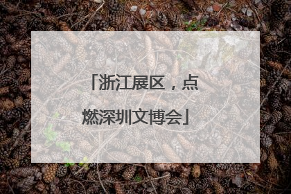 浙江展区，点燃深圳文博会