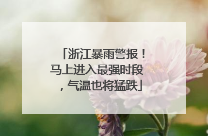 浙江暴雨警报！马上进入最强时段，气温也将猛跌