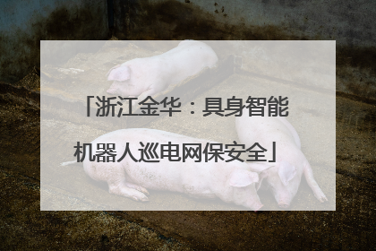 浙江金华：具身智能机器人巡电网保安全