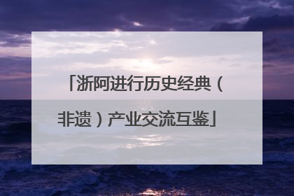 浙阿进行历史经典（非遗）产业交流互鉴