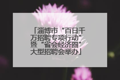 淄博市“百日千万招聘专项行动”暨“省会经济圈”大型招聘会举办