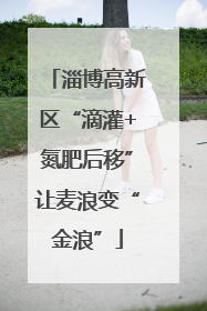 淄博高新区“滴灌+氮肥后移”让麦浪变“金浪”