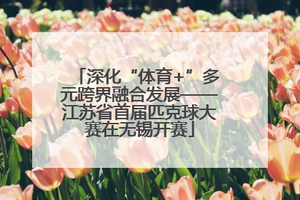 深化“体育+”多元跨界融合发展——江苏省首届匹克球大赛在无锡开赛