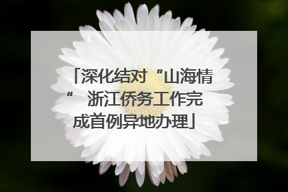 深化结对“山海情” 浙江侨务工作完成首例异地办理
