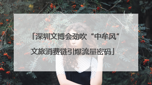 深圳文博会劲吹“中牟风” 文旅消费链引爆流量密码