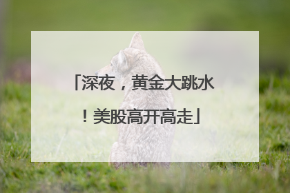 深夜，黄金大跳水！美股高开高走