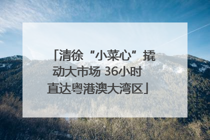 清徐“小菜心”撬动大市场 36小时直达粤港澳大湾区