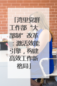 湾里党群工作部“大部制”改革：激活效能引擎，构建高效工作新格局
