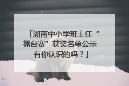 湖南中小学班主任“擂台赛”获奖名单公示 有你认识的吗？