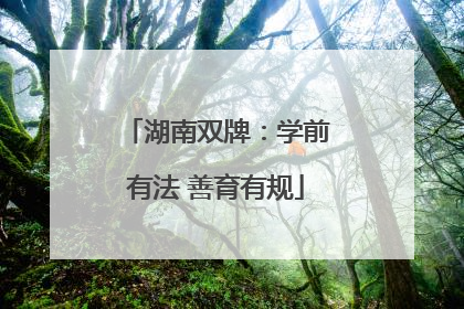 湖南双牌：学前有法 善育有规