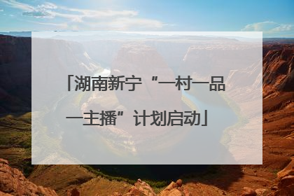 湖南新宁“一村一品一主播”计划启动