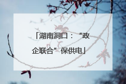 湖南洞口：“政企联合”保供电