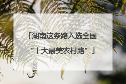 湖南这条路入选全国“十大最美农村路”