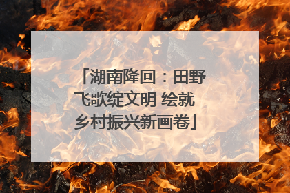 湖南隆回：田野飞歌绽文明 绘就乡村振兴新画卷