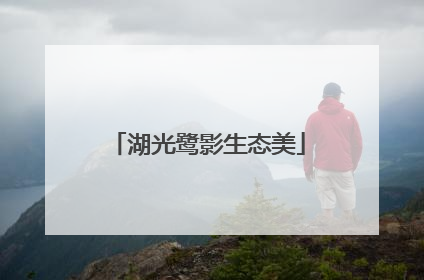 湖光鹭影生态美