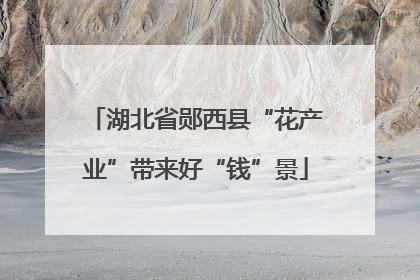 湖北省郧西县“花产业”带来好“钱”景