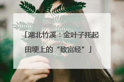 湖北竹溪：金叶子托起田埂上的“致富经”