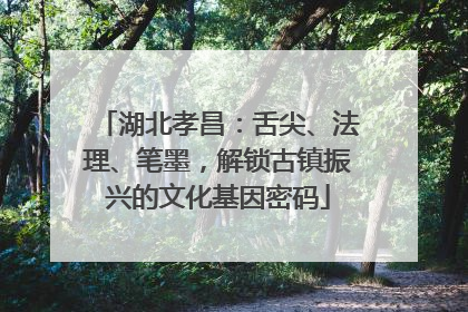 湖北孝昌：舌尖、法理、笔墨，解锁古镇振兴的文化基因密码