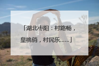 湖北枣阳：村路畅，皇桃俏，村民乐……