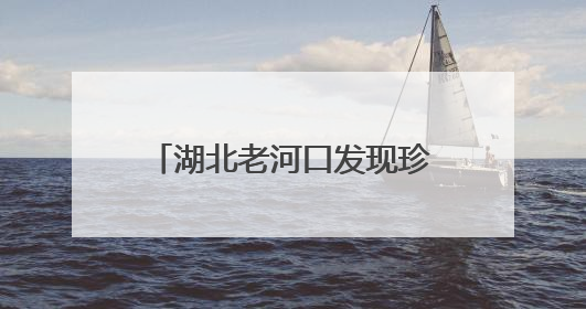 湖北老河口发现珍稀鸟类蓝喉蜂虎