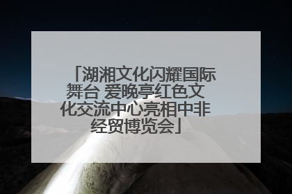 湖湘文化闪耀国际舞台 爱晚亭红色文化交流中心亮相中非经贸博览会