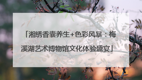 湘绣香囊养生+色彩风暴：梅溪湖艺术博物馆文化体验盛宴