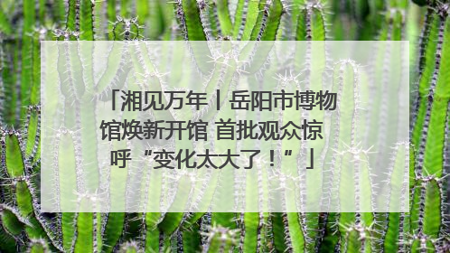 湘见万年丨岳阳市博物馆焕新开馆 首批观众惊呼“变化太大了！”