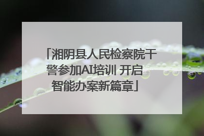 湘阴县人民检察院干警参加AI培训 开启智能办案新篇章