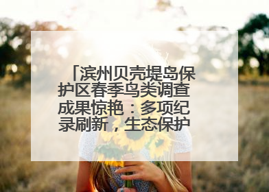 滨州贝壳堤岛保护区春季鸟类调查成果惊艳：多项纪录刷新，生态保护成效显著