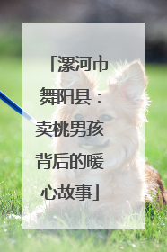 漯河市舞阳县：卖桃男孩背后的暖心故事