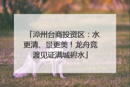 漳州台商投资区：水更清、景更美！龙舟竞渡见证满城碧水