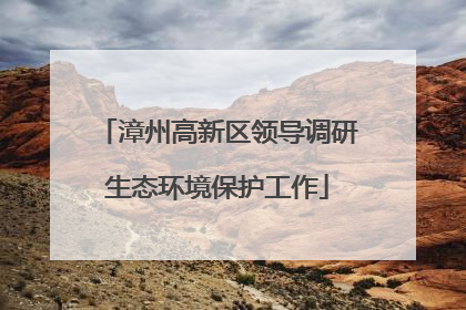 漳州高新区领导调研生态环境保护工作