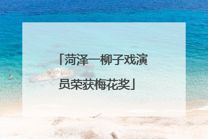 菏泽一柳子戏演员荣获梅花奖